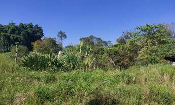 Imagem 4: Área para plantio, com 78000 metros quadrados em Ipelândia - Suzano - SP