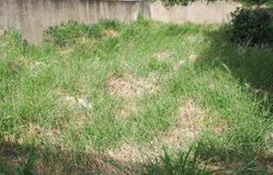 Imagem 2: Terreno à venda, 320 m² por R$ 320.000,00 - Jardim Bela Vista - Americana/SP