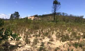 Imagem 2: Lote de 2.500 m² para construir