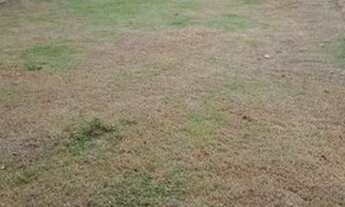 Imagem 4: Casa - Alugar Casa com 3 dormitórios