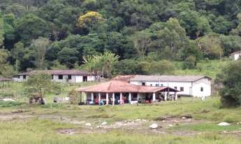 Imagem 6: Chácara de 10 Alqueires