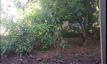 Imagem: TERRENO CASA EM CARDOSO