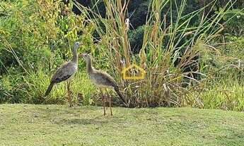 Imagem 4: Terreno de esquina com 1051 m2 UP RESIDENCIAL