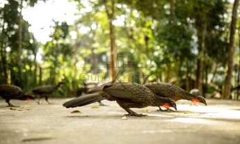 Imagem 6: Casa de condomínio sobrado para venda com 5000 metros quadrados com 6 quartos
