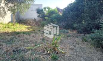 Imagem 4: Terreno comercial para Venda, Centro, Franca - TE218