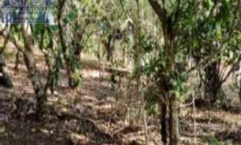 Imagem 2: TERRENO RESIDENCIAL em JUNDIAÍ - SP, CAXAMBU