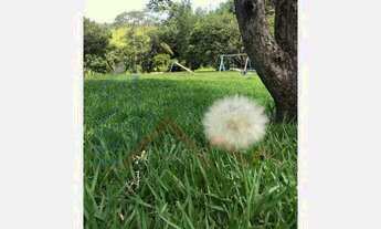 Imagem 3: Sitio JOANÓPOLIS - SP