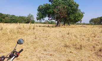 Imagem 4: Fazenda em Dois Irmãos