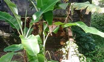 Imagem 5: Terreno em algodoal - Maracanã - Pa