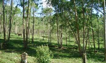 Imagem 13: Sítio para venda no bairro Morro Grande em Bragança Paulista