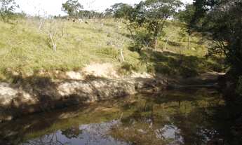 Imagem 5: Terreno de 12 hectares em Fortuna de Minas