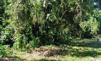 Imagem 6: Lote/Terreno para venda possui 400 metros quadrados em Sertão do Camburi - São Sebastião