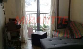 Imagem: Lindo apartamento em Vila Miriam