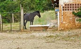 Imagem 3: São João da Boa Vista - Sítio - Área Rural de São João da Boa Vista