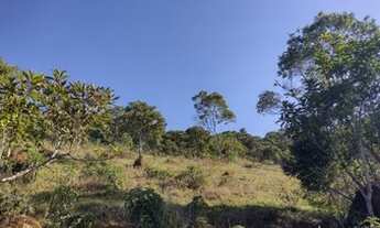 Imagem: Sitio com 10.000 m2 muito próximo à Monte