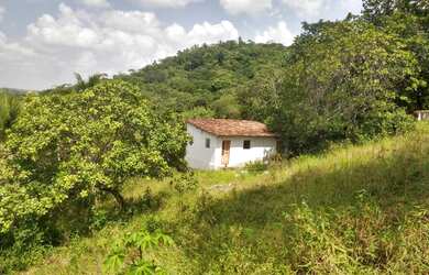 Imagem 6: Granja em bonança