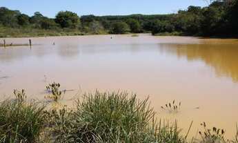 Imagem 2: Sítio de 5 hectares em Curvelo