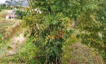 Imagem 7: Terreno à venda, 500 m² por R$ 140.000,00 - Vila São Paulo - Mogi das Cruzes/SP