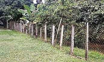 Imagem 3: Terreno em Franca