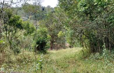 Imagem 3: Terreno com galpão em ipelândia