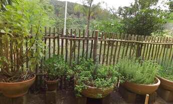 Imagem 7: Chácara Sítio Venda Paraibuna 12.500m² 304406706