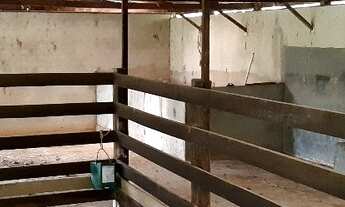 Imagem 2: SITIO FORMADO 10 ALQUEIRES EM PIEDADE SP