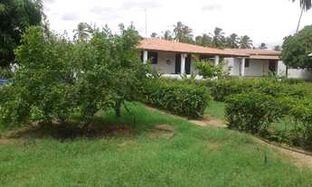 Imagem 6: Touros - Conjunto Comercial/Sala - São José