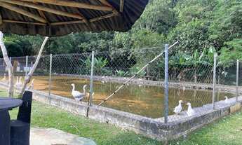 Imagem 2: Sítio em Santa Isabel/SP com Matrícula, Casa de Hóspedes, Lagos, Salão de Festas etc