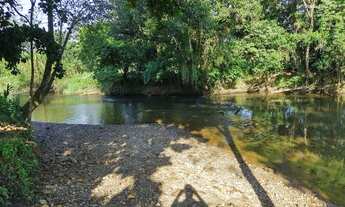 Imagem 3: Sítio 29 Alqueires, Lindo Rio Para Banhista, Casa, OPORTUNIDADE!! (Willian Ricardo