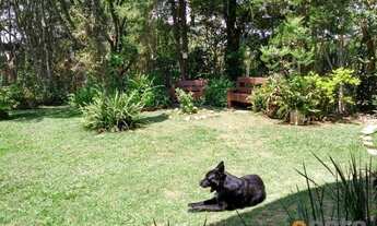 Imagem 3: Chácara à venda, 20000 m² por R$ 1.150.000,00 - Freitas - São José dos Campos/SP