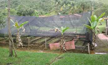 Imagem 3: CHÁCARA BEIRA RIO
