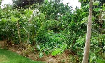 Imagem 2: Casa residencial à venda, Jardim Paraíso II, Itu