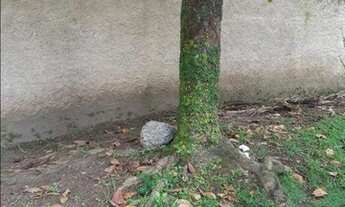 Imagem 7: Terreno à venda, 672 m² por R$ 1.400.000,00 - Enseada - Ubatuba/SP