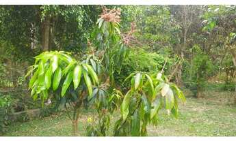 Imagem 7: Chácara MAIRIPORÃ - SP