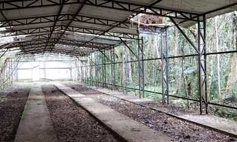 Imagem: Terreno com galpão em ipelândia