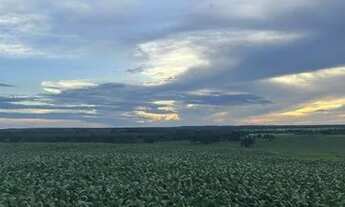 Imagem 3: Fazenda 73 Alq perto de Divinopolis