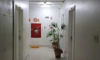Imagem 7: Sala - Centro - Campinas