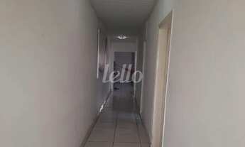 Imagem 3: São Paulo - Casa Padrão - Tatuapé