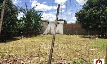 Imagem 5: Terreno (terreno normal