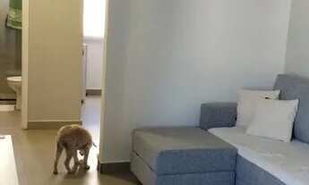 Imagem 5: Vendo apartamento