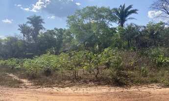 Imagem 4: Vendo 1 Hectare em Altos