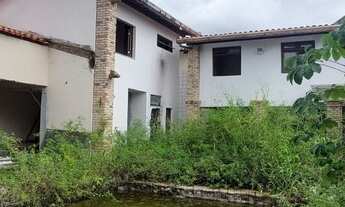 Imagem 5: Caminho das Árvores, próximo as Espatódias