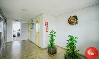 Imagem 3: São Paulo - Apartamento Padrão - Mooca