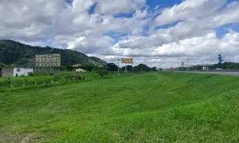 Imagem 6: Terreno 181.000 m2 plaino e de frente para Via Dutra e m Santa Isabel SP