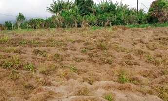 Imagem 3: Vendo excelente sitio Em jaguaripe