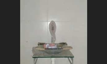 Imagem 4: Duas casas de 1 quarto cada, na Taquara, Condomínio fechado