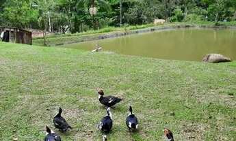 Imagem 4: Sítio - alugo para final de semana - valor de 3 diárias