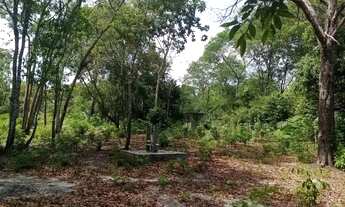 Imagem 6: Sítio Tapary Chácara com venda por R$300.000