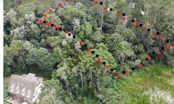 Imagem 2: Terreno 1.385m2 Lagoas Da Yara (descansópolis) R$49.999,00 à vista aceito carro