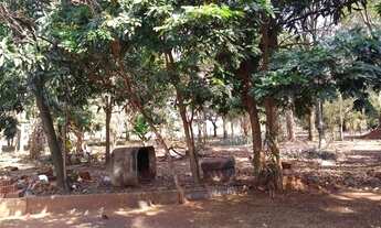 Imagem 3: Chácaras à venda 3 quartos Parque Tropical Araraquara